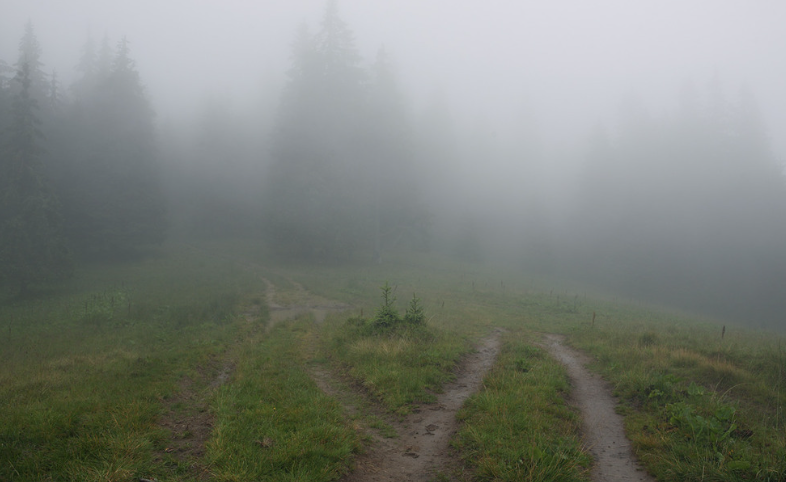 Твоє минуле не дорівнює твоє майбутнє: Як змінити шлях від помилок до нових можливостей