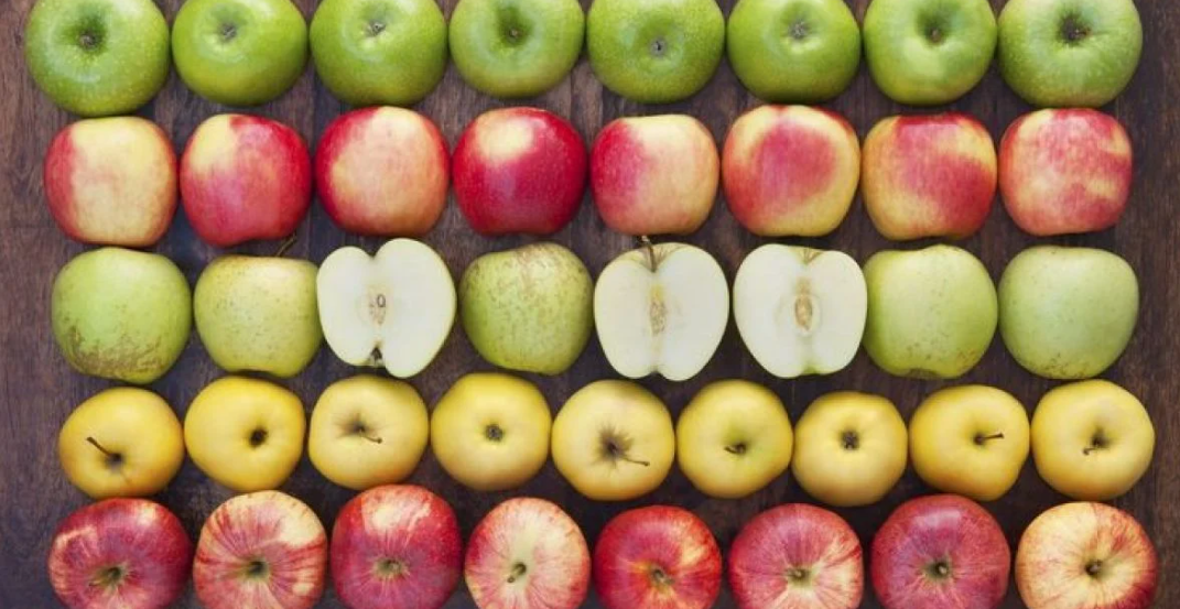 Чи впливають гени на характер: чому в одній родині різні діти?